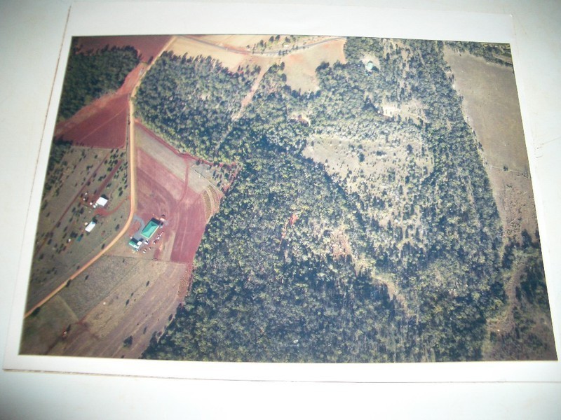 230 Stocks Road, Apple Tree Creek QLD 4660