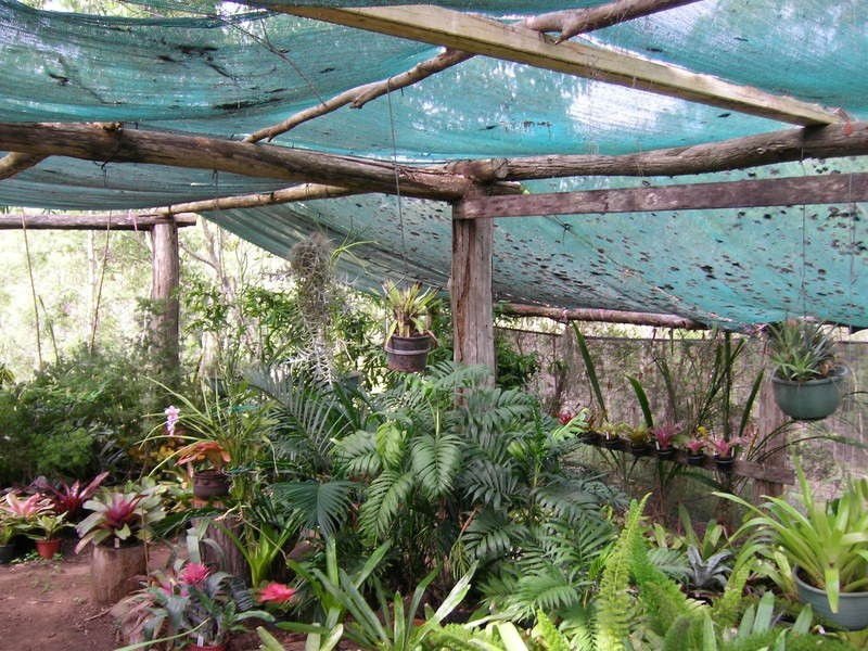 341 Promised Land Road, Cordalba QLD 4660