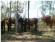 1 Teningering Road, Goodnight NSW 2736