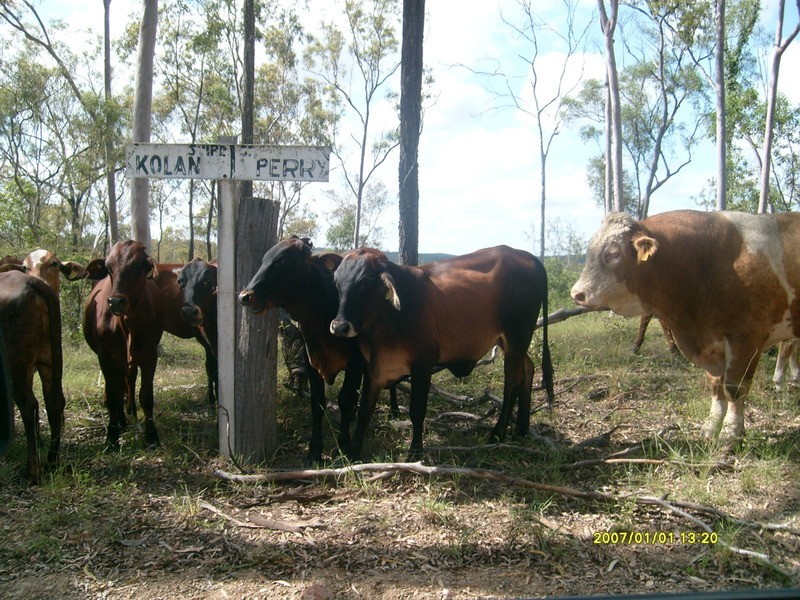 1 Teningering Road, Goodnight NSW 2736