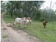 1 Teningering Road, Goodnight NSW 2736