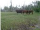 1 Teningering Road, Goodnight NSW 2736