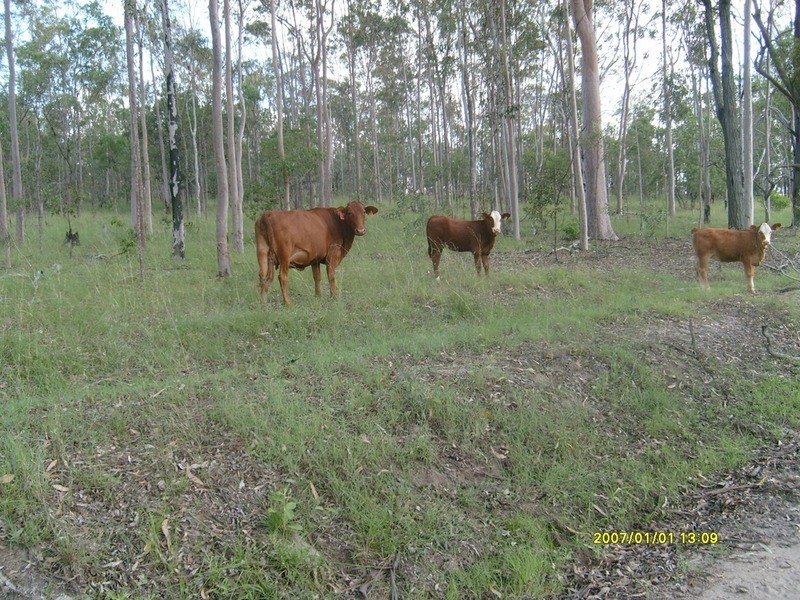 1 Teningering Road, Goodnight NSW 2736