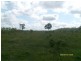 1 Teningering Road, Goodnight NSW 2736