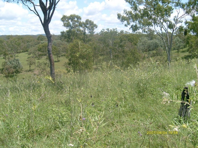 lot/12 Walla Road, Wallaville QLD 4671