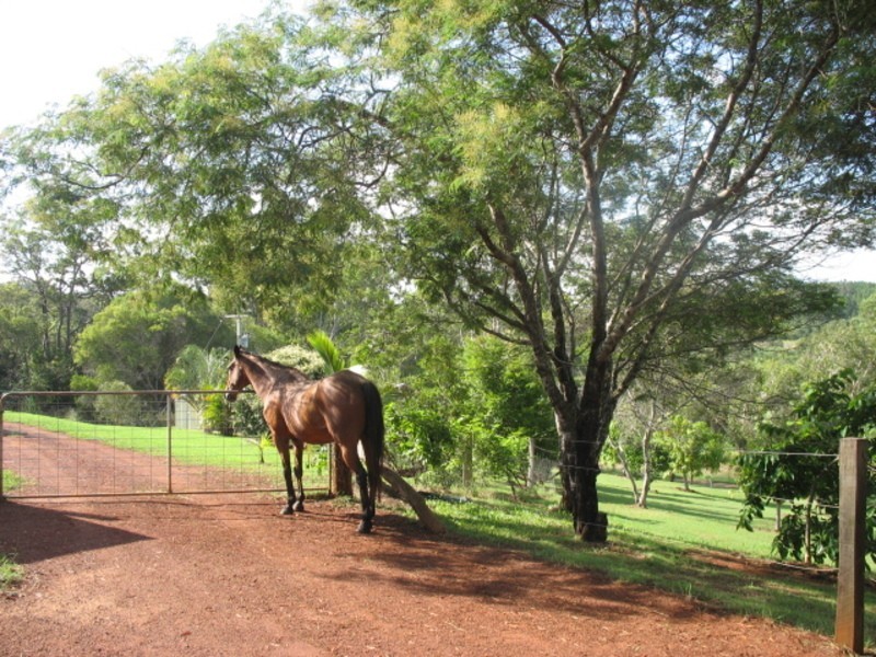 152 Rainbows Road, Childers QLD 4660