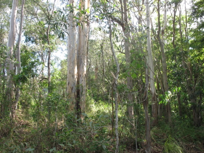 152 Rainbows Road, Childers QLD 4660