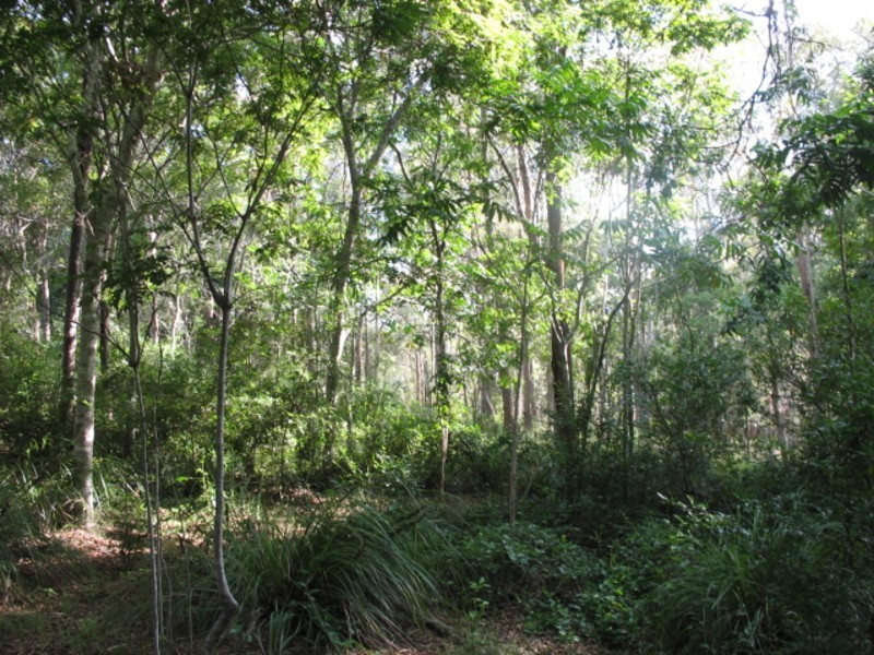 152 Rainbows Road, Childers QLD 4660