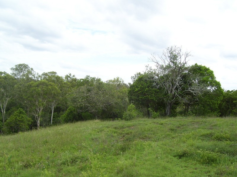 673 Pine Creek Road, Pine Creek QLD 4670