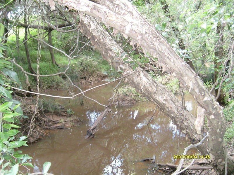 673 Pine Creek Road, Pine Creek QLD 4670