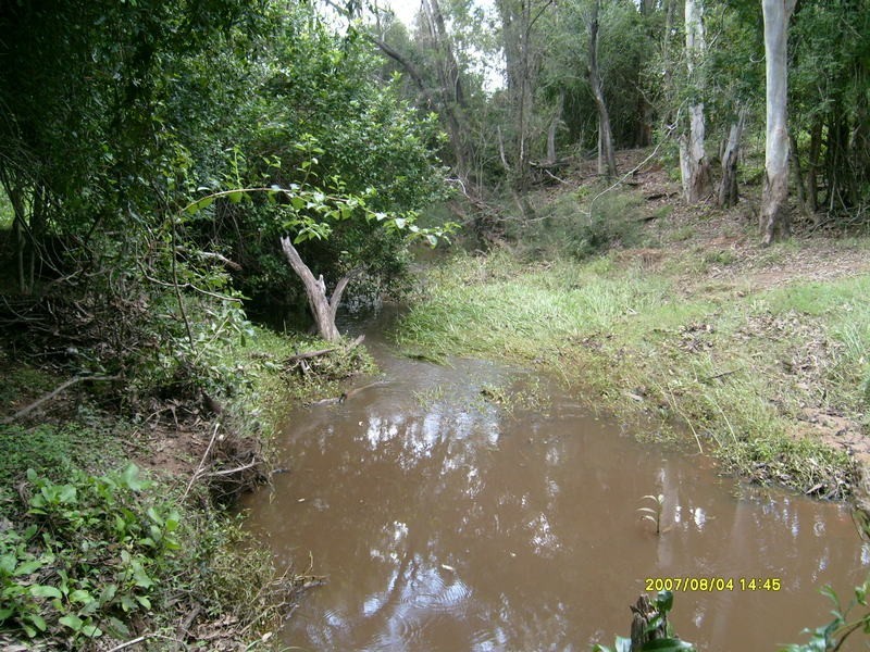 673 Pine Creek Road, Pine Creek QLD 4670