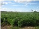 141 A Webbs Road, Redridge QLD 4660