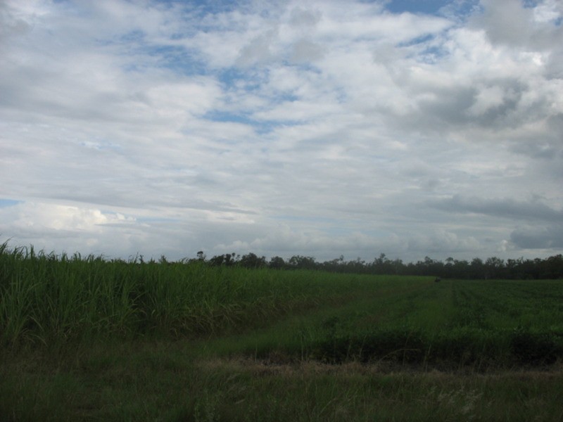 141 A Webbs Road, Redridge QLD 4660