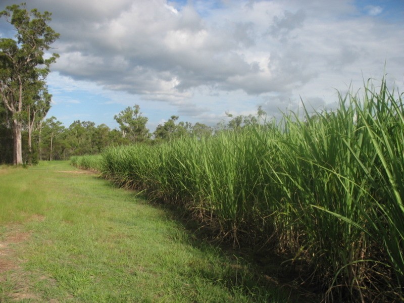 141 A Webbs Road, Redridge QLD 4660