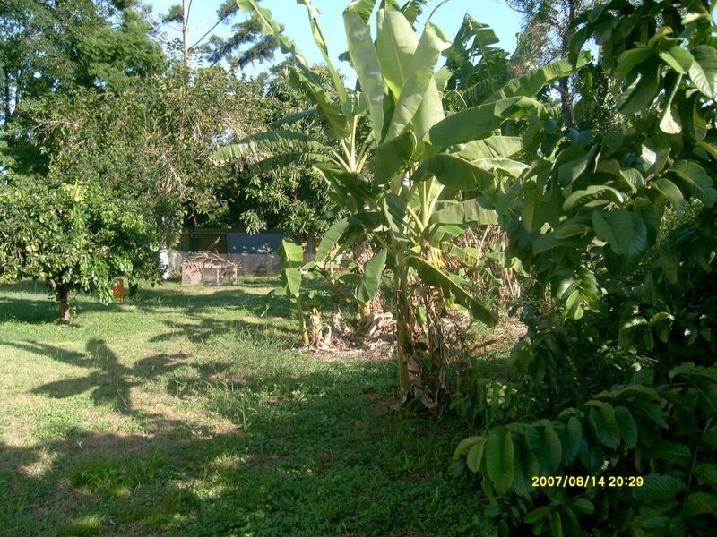 4 Pitt Street, Cordalba QLD 4660
