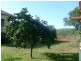 4 Pitt Street, Cordalba QLD 4660