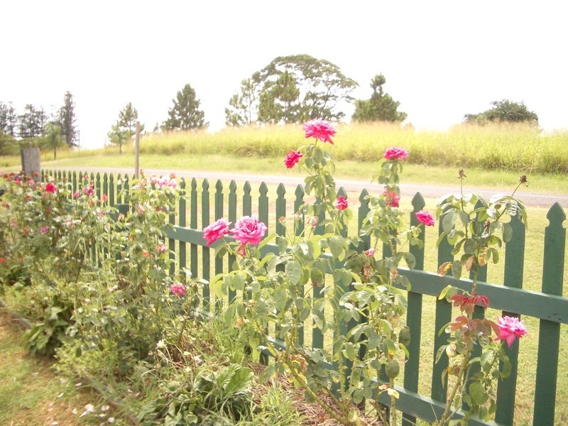 26 Mill Road, Cordalba QLD 4660