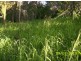 830 Gooroolba Road, Biggenden QLD 4621