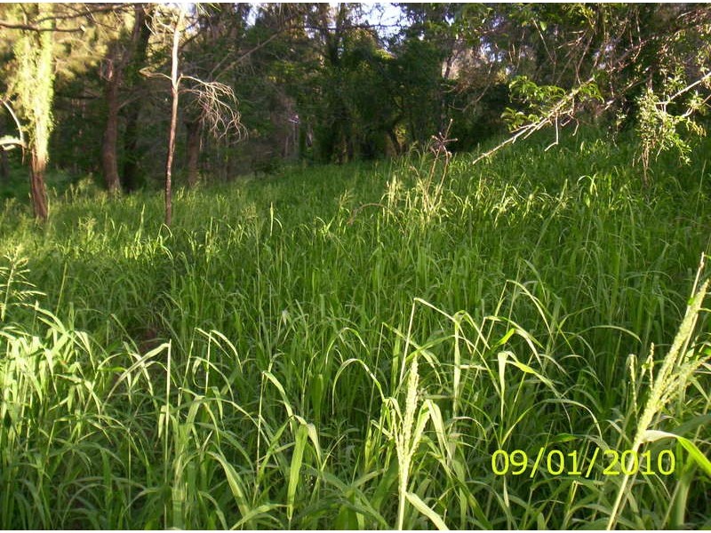 830 Gooroolba Road, Biggenden QLD 4621