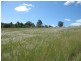 Lot 16 Huxley Road, North Isis QLD 4660