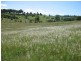 Lot 16 Huxley Road, North Isis QLD 4660