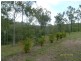 57 Forestvale Road, Horse Camp QLD 4671