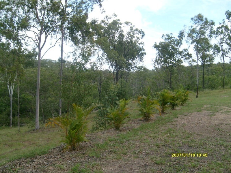 57 Forestvale Road, Horse Camp QLD 4671