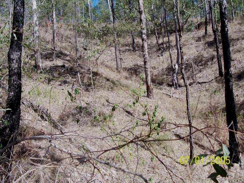 37 Tableland Road, Horse Camp QLD 4671