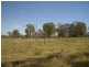 181 Guppys Road, Eureka QLD 4660