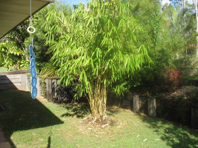 19 Redgwell Close, Apple Tree Creek QLD 4660