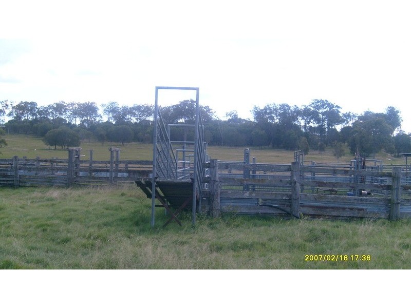 84 Foleys Road, North Gregory QLD 4660