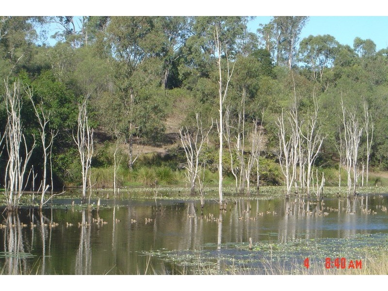 84 Foleys Road, North Gregory QLD 4660