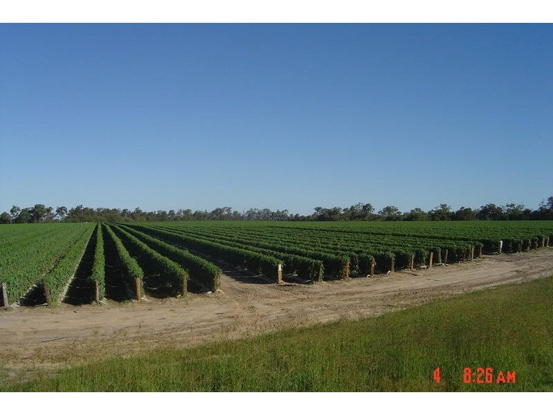 84 Foleys Road, North Gregory QLD 4660