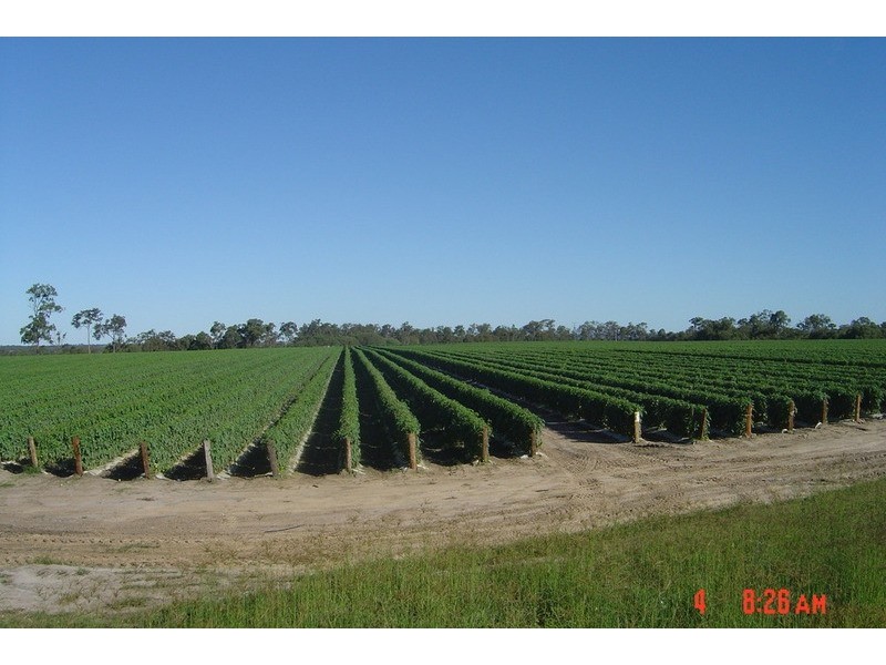 84 Foleys Road, North Gregory QLD 4660