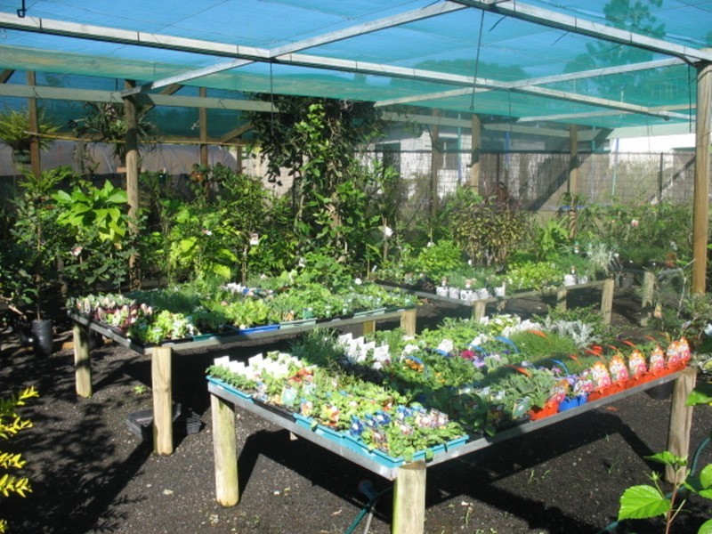 4 Mamminos Road, Childers QLD 4660