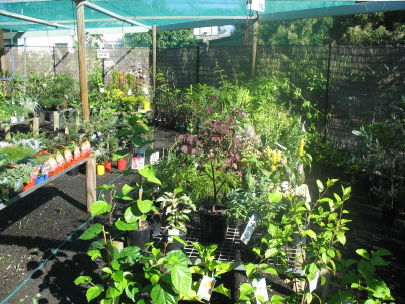 4 Mamminos Road, Childers QLD 4660