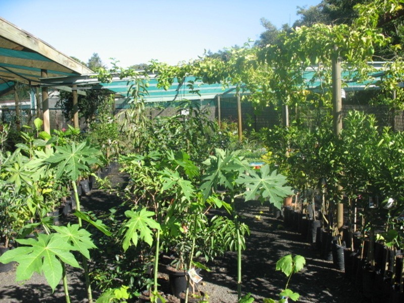 4 Mamminos Road, Childers QLD 4660