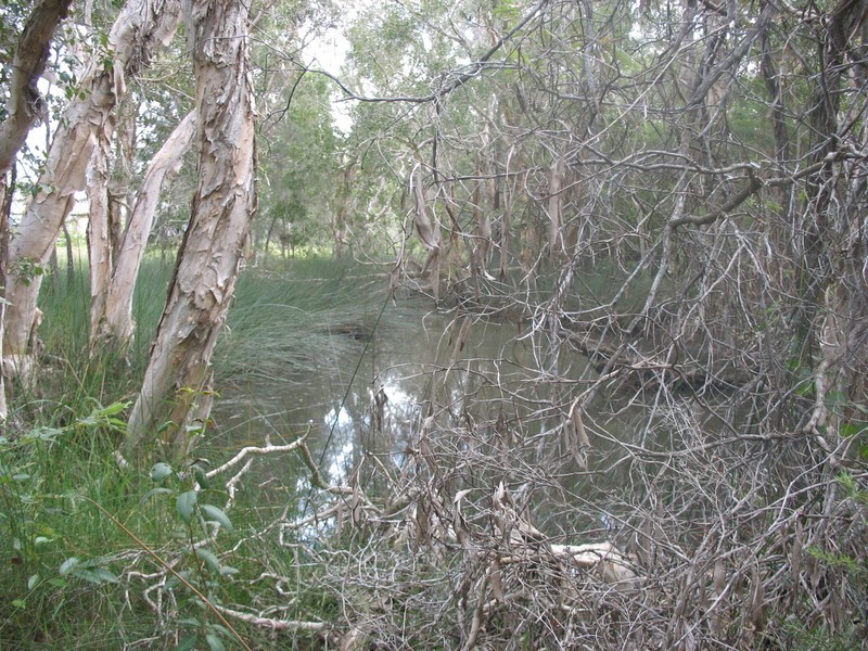 17 Meleleuca Street, Redridge QLD 4660