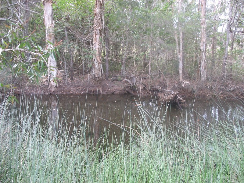 17 Meleleuca Street, Redridge QLD 4660