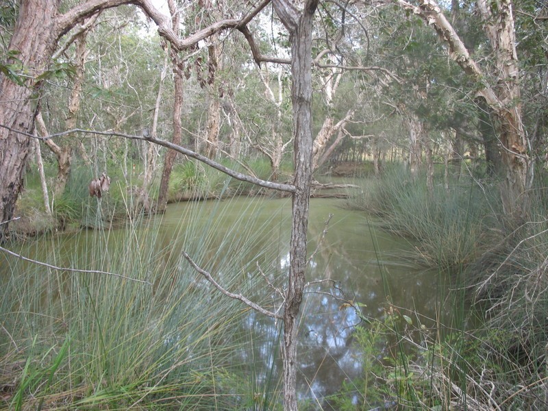 17 Meleleuca Street, Redridge QLD 4660