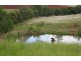 106 Gelsominos Road, Childers QLD 4660