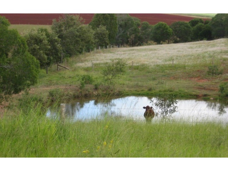 106 Gelsominos Road, Childers QLD 4660