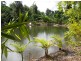 106 Gelsominos Road, Childers QLD 4660