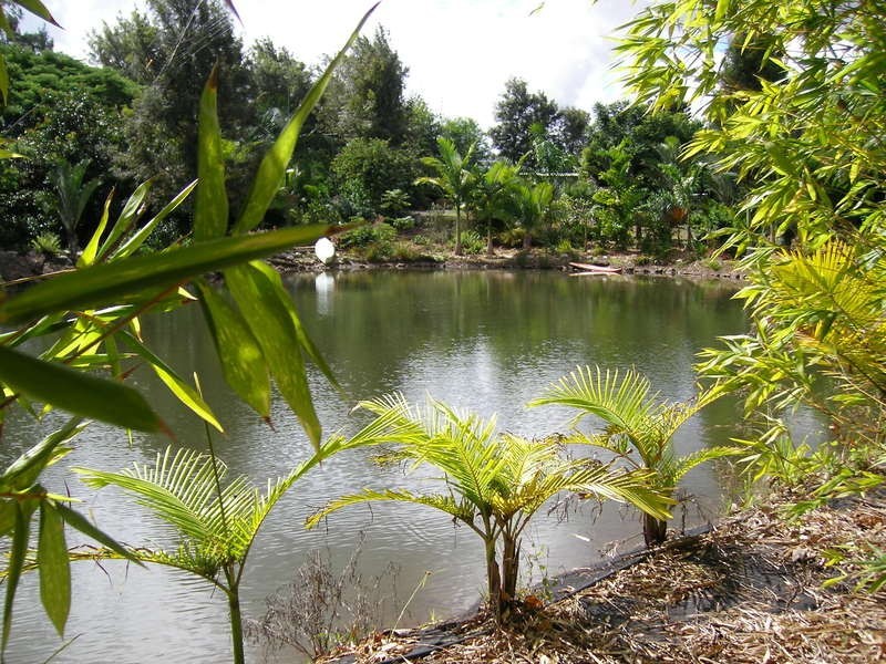 106 Gelsominos Road, Childers QLD 4660