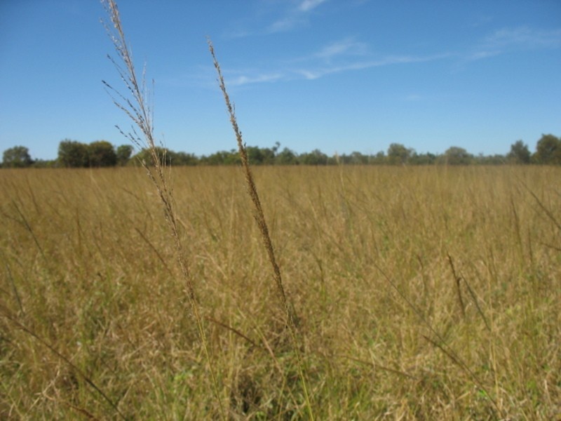57 Garryowen Road, Childers QLD 4660