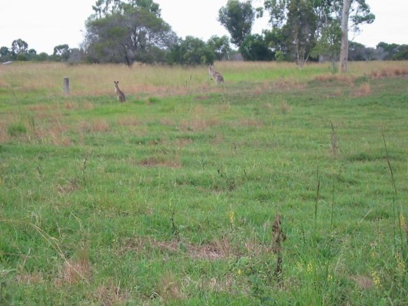 78 River Road, Buxton QLD 4660