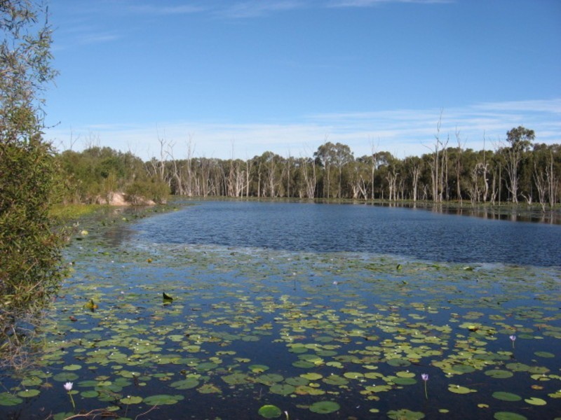 440 Abington Road, Abington QLD 4660