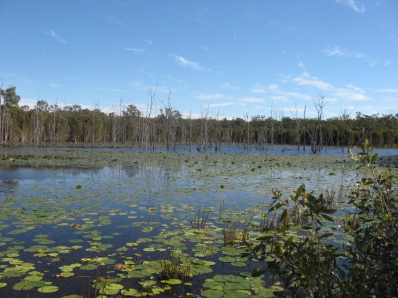 440 Abington Road, Abington QLD 4660