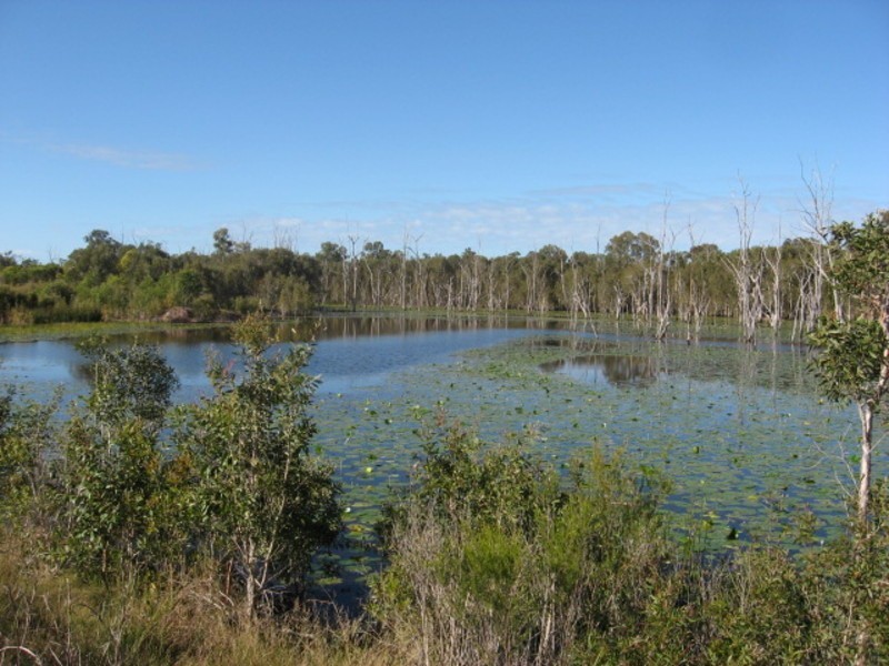 440 Abington Road, Abington QLD 4660