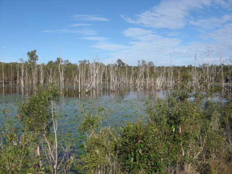 440 Abington Road, Abington QLD 4660